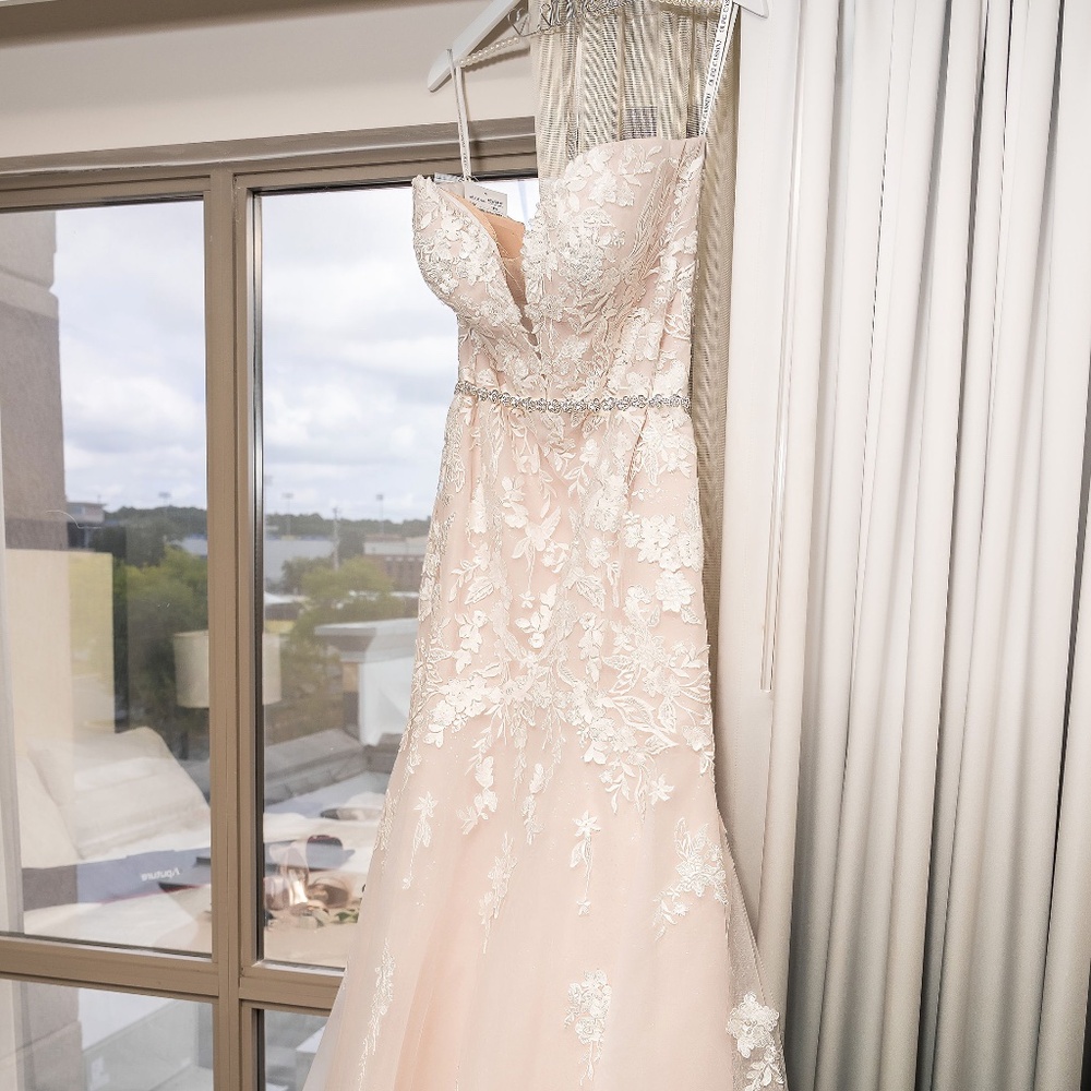 Beautiful Blush Oleg Cassini Wedding Dress